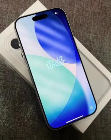Apple/苹果 iPhone 17 Pro Max 256GB 银色 支持移动联通电信5G 双卡双待手机