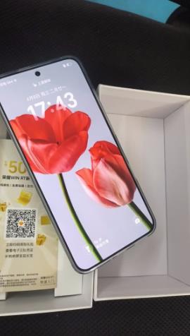 荣耀WIN RT【张予曦同款】骁龙8至尊旗舰芯 10000mAh青海湖电池 5G AI 新款游戏手机 12+256快开黑